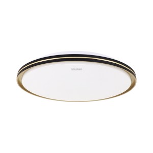 IDEUS FIESTA LED C 24W CCT | 04570
