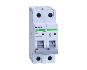 NOARK  Ex9IP 2P 32A   101755